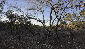 Parson Architecture Austin Hill Country Horizon Line House Site