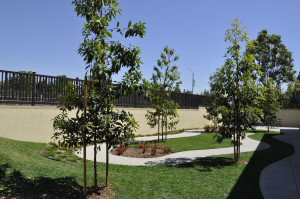 Parson Architecture LePort Irvine Mandarin